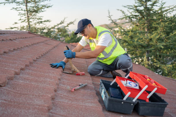 Best Metal Roofing Contractor  in Elkins, WV